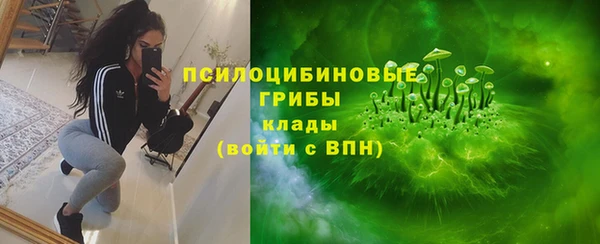 spice Алексин
