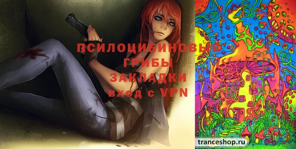 сатива Алексеевка