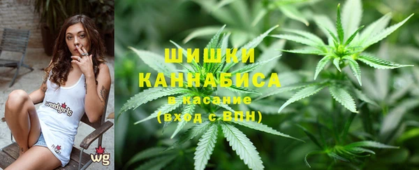 сатива Алексеевка