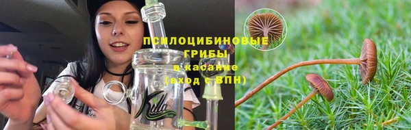 круглые Алзамай