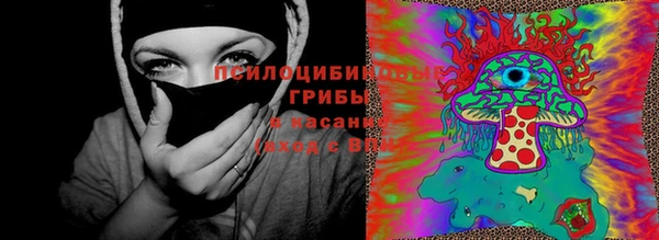 сатива Алексеевка